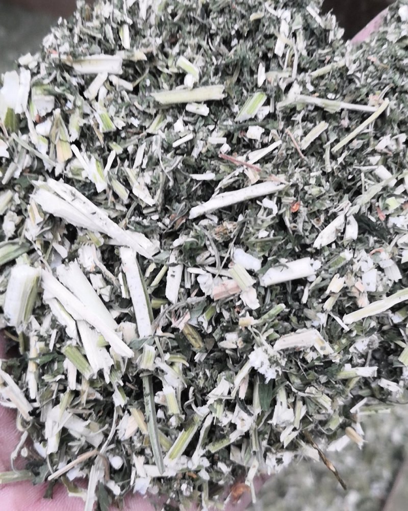 益母草1cm段河南野生支持线上保障交易可视频看货