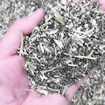 益母草1cm段河南野生支持线上保障交易可视频看货