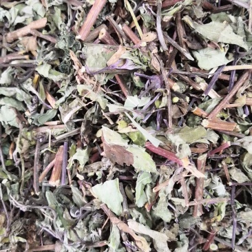 中药材猫须草肾茶新货无硫产地现货欢迎