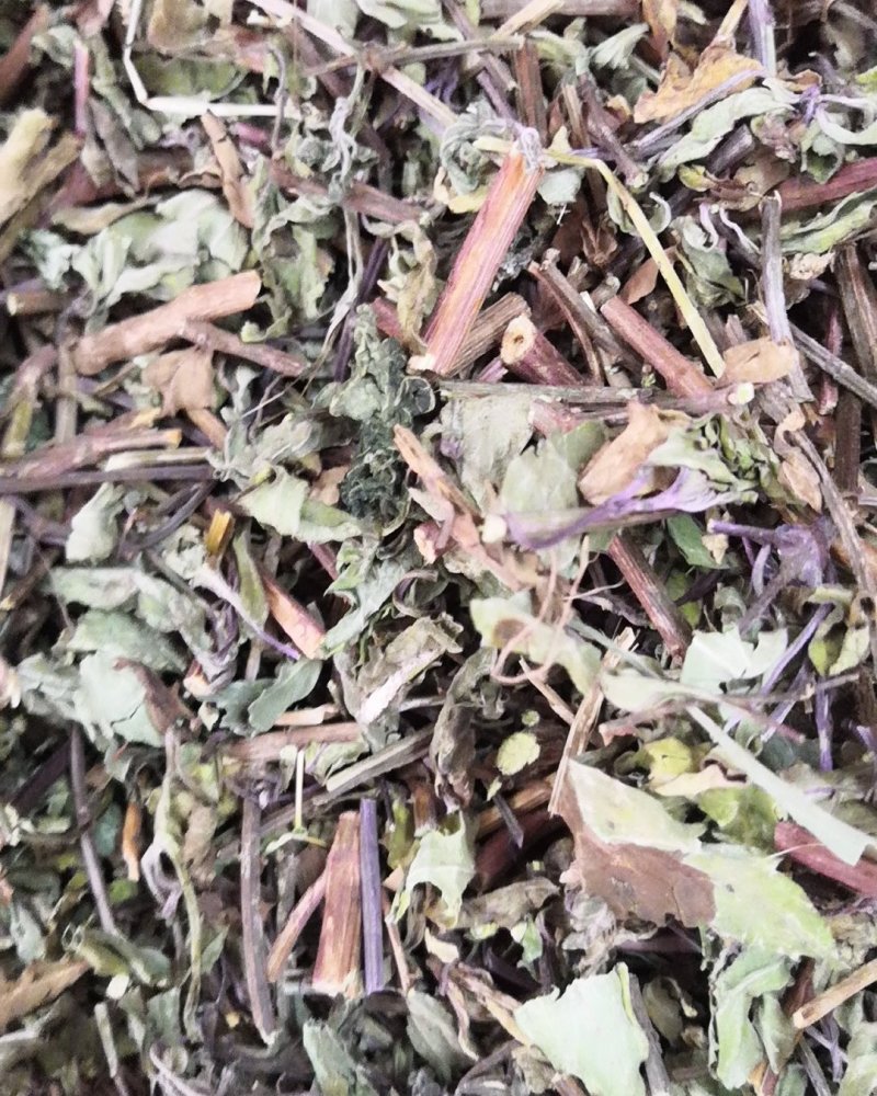 中药材猫须草肾茶新货无硫产地现货欢迎