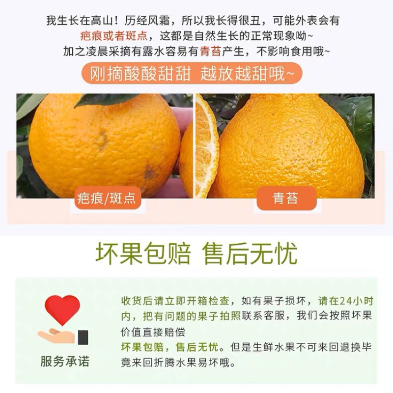 不知火丑橘四川丑橘当季水果柑橘大果耙耙柑一件代发！
