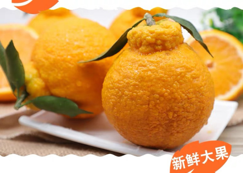 不知火丑橘四川丑橘当季水果柑橘大果耙耙柑一件代发！