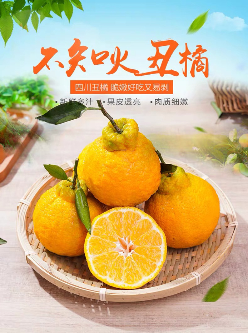 不知火丑橘四川丑橘当季水果柑橘大果耙耙柑一件代发！
