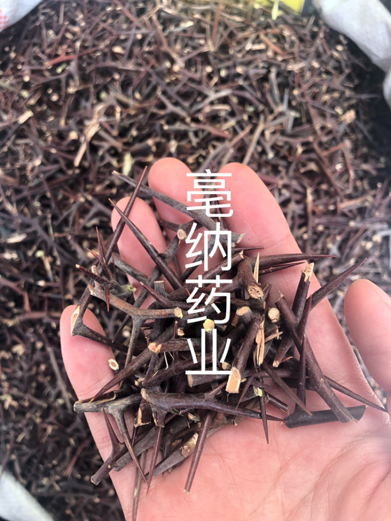 皂角刺皂刺皂角针中药材大货批发1⃣️公斤起批