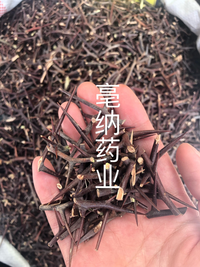 皂角刺皂刺皂角针中药材大货批发1⃣️公斤起批