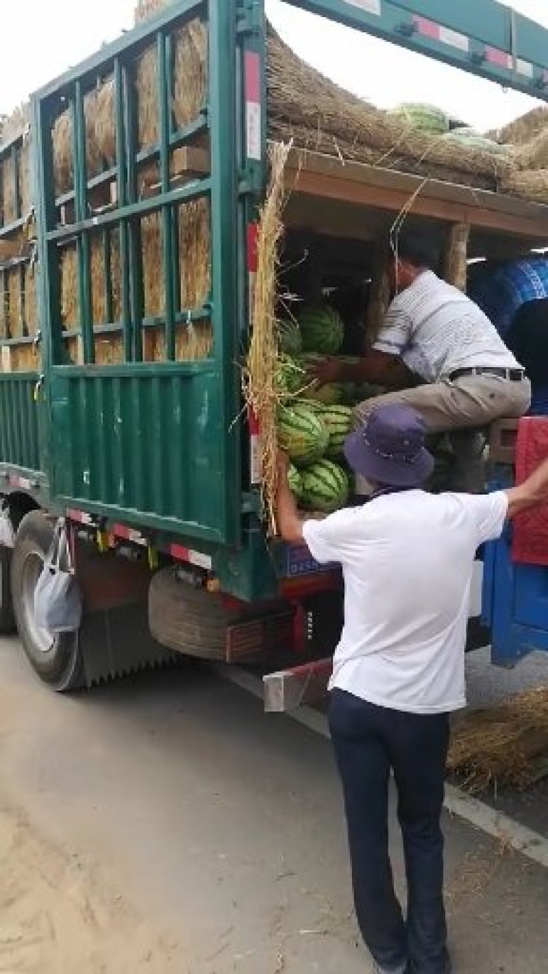 精品陕西渭南甜王西瓜，大量上市，基地直供一手货源，品质保证
