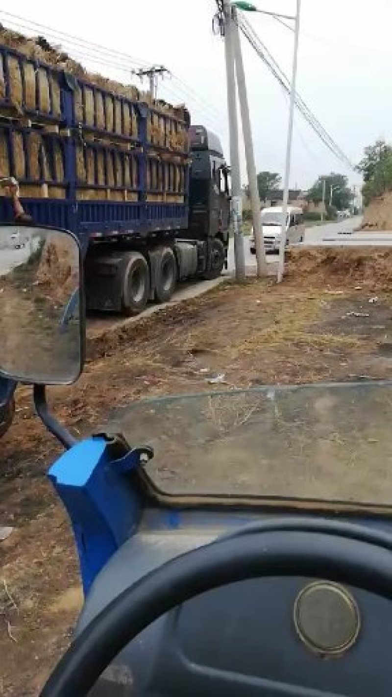 精品陕西渭南甜王西瓜，大量上市，基地直供一手货源，品质保证