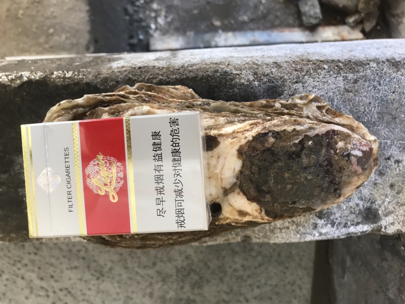 生蚝大规格，单体八两以上生蚝，最大3斤一斤