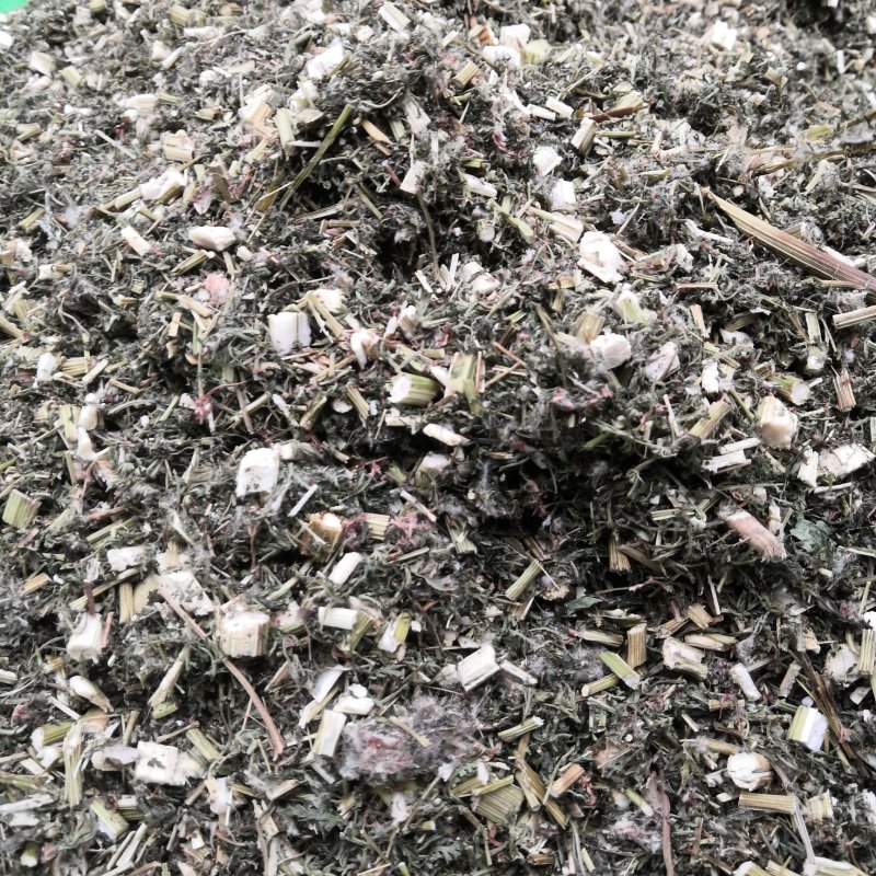 中草药青蒿干净无杂好品质产地批发大货