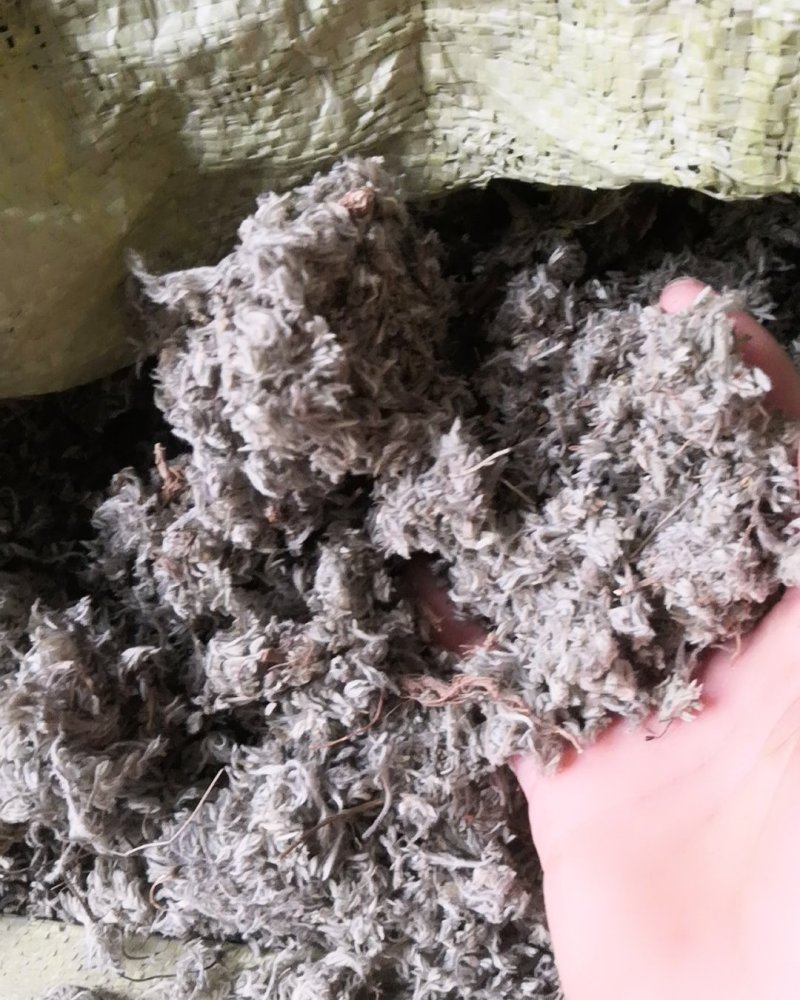 棉茵陈茵陈草茵陈蒿无杂质三月干货，批发各种中药
