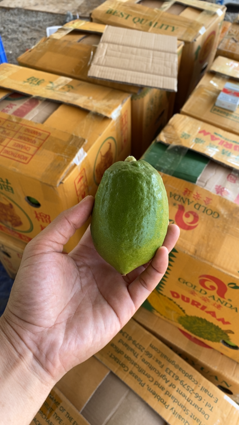 四季香水柠檬