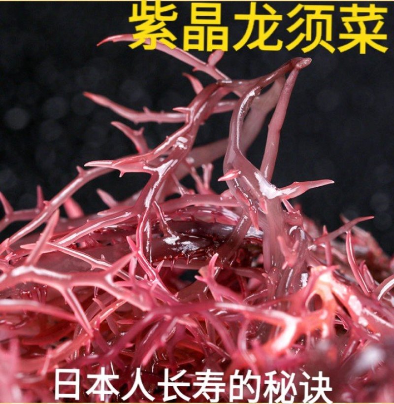 龙须菜盐渍龙须菜保鲜龙须菜凉拌菜海中珍品龙须菜包邮