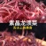 龙须菜盐渍龙须菜保鲜龙须菜凉拌菜海中珍品龙须菜包邮