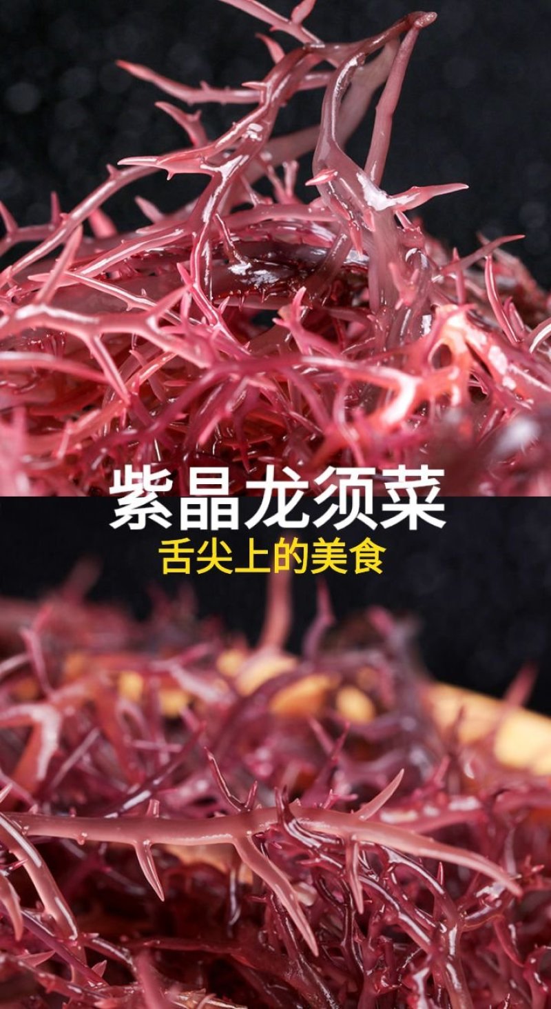 龙须菜盐渍龙须菜保鲜龙须菜凉拌菜海中珍品龙须菜包邮
