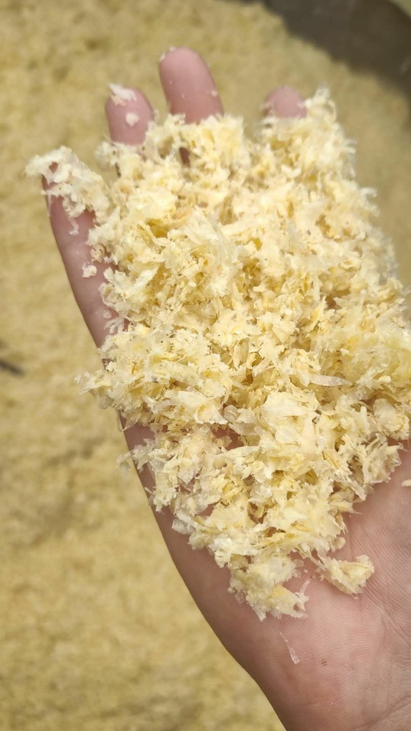 玉米皮干的湿的都有质量保证诚信经营