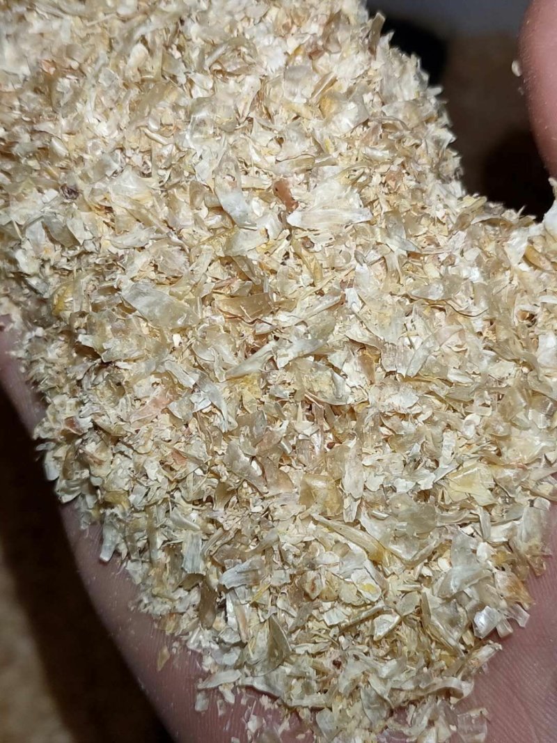 玉米皮干的湿的都有质量保证诚信经营