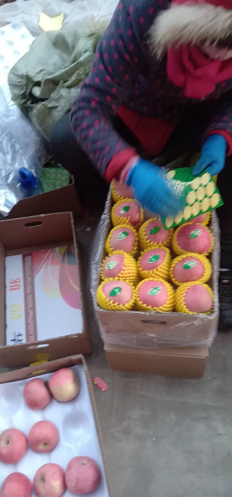 红富士苹果精品佳作富士产地直销常年供应品质保证