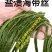 海带丝烘干海带丝凉拌海带丝盐渍海带丝凉拌海带丝包邮