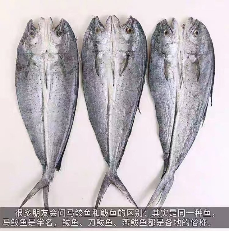 淡干鲅鱼