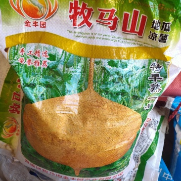 凉薯种子（云南叫地瓜和土瓜）保证出芽率百分之八十以上