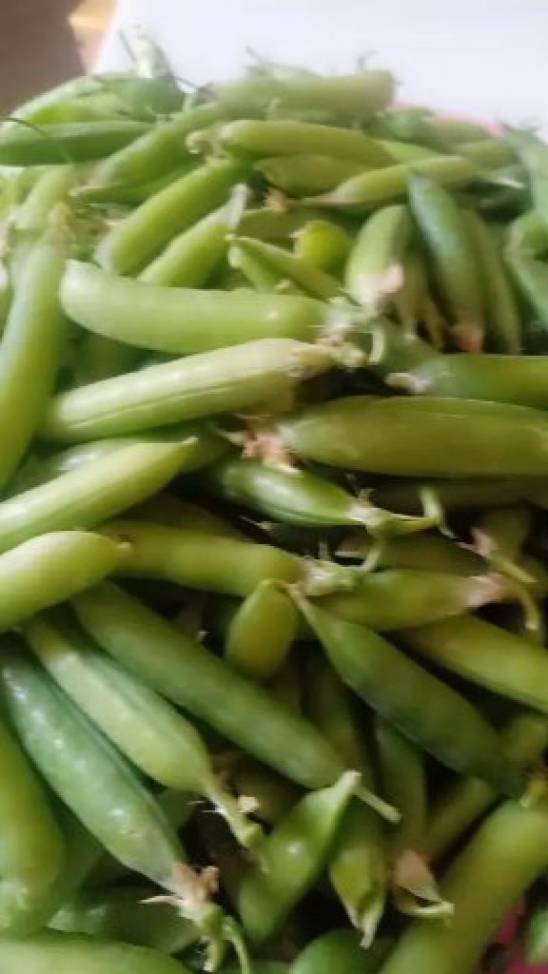 蔬菜