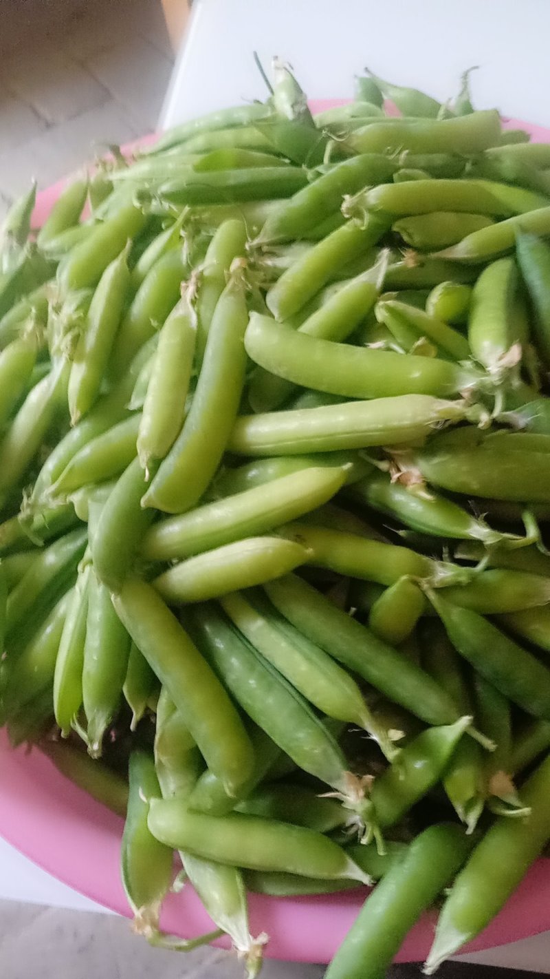 蔬菜