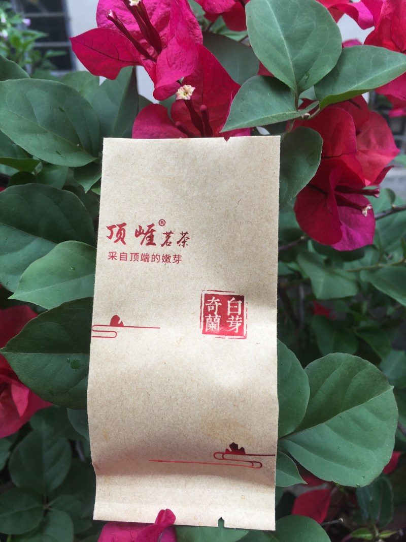白芽奇兰茶（正宗原产地福建省平和县特产，春茶）