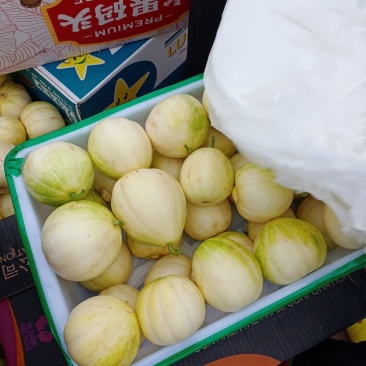 香瓜