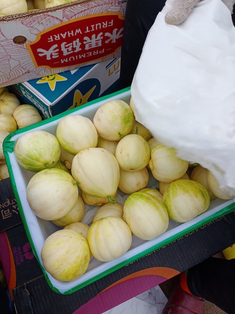 香瓜