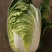精品大白菜，春季大白菜，净菜4至6斤可视频看货诚信经营