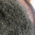 茶叶