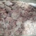 二八碎肉