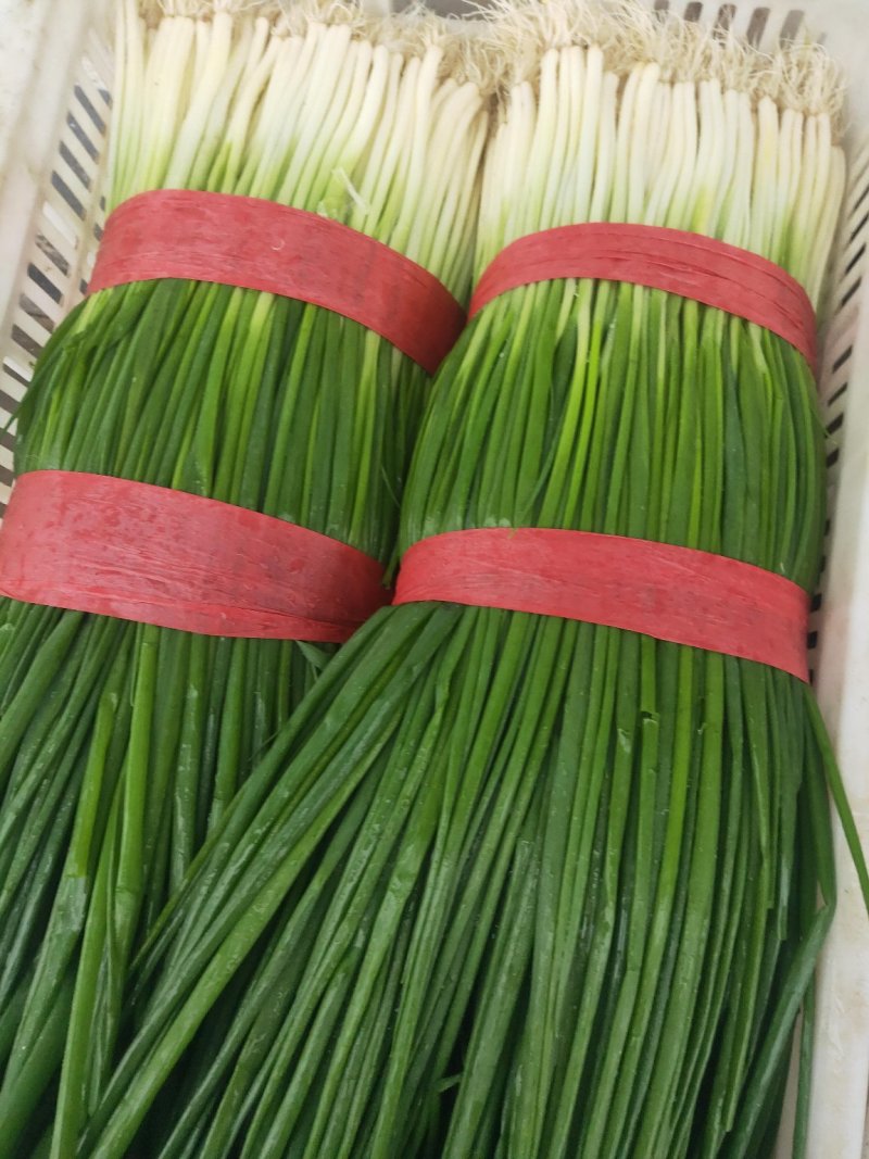香葱青蒜