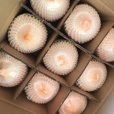 海南椰青去半皮