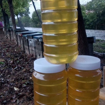 荔枝蜜