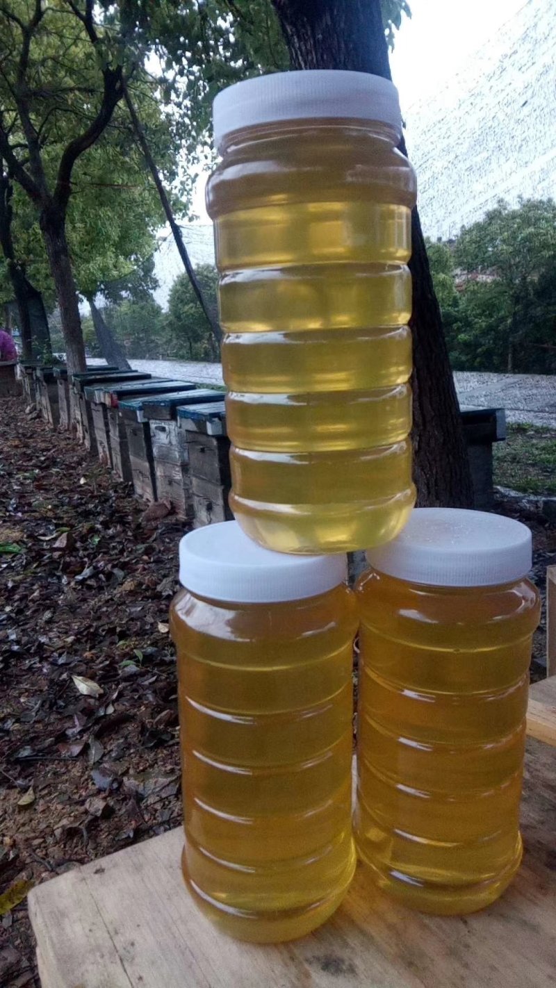 荔枝蜜