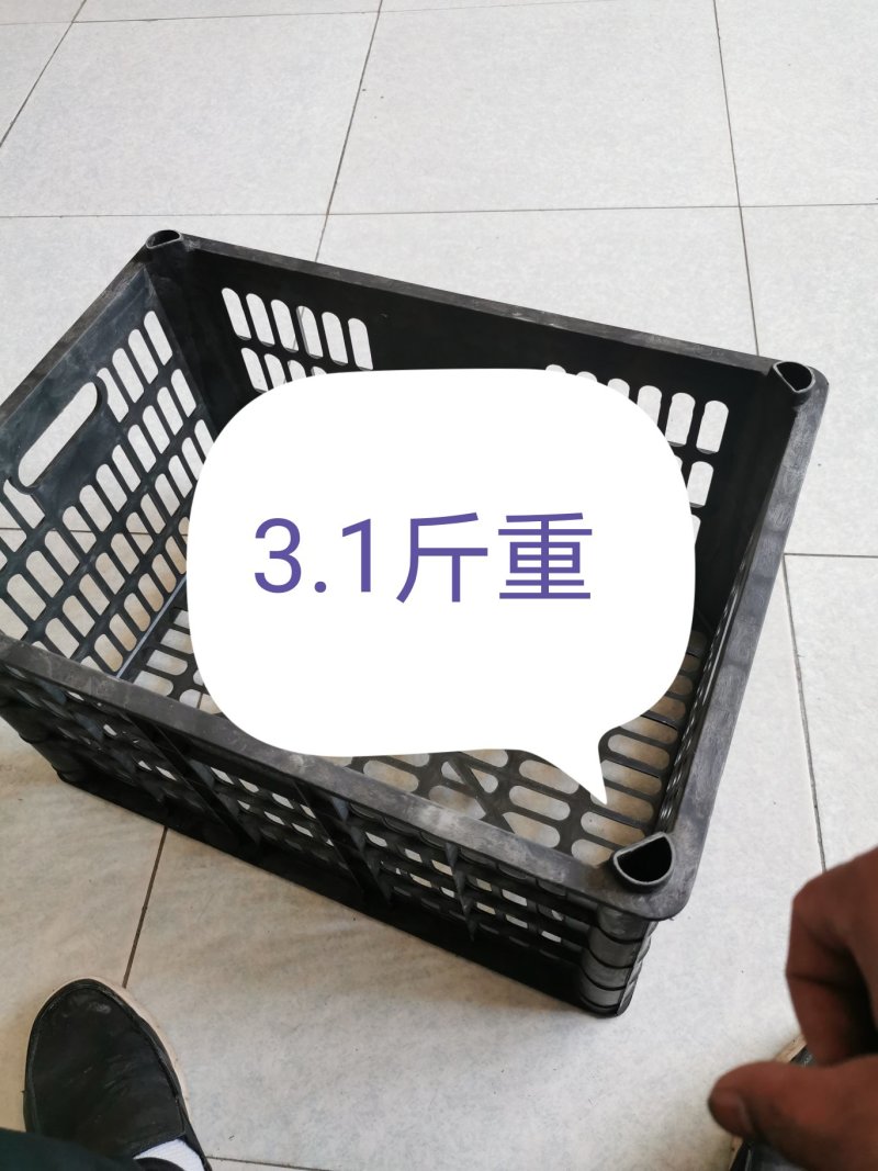 黑筐供应，红薯筐，水果筐厂家大量有货，价格从优，欢迎客商