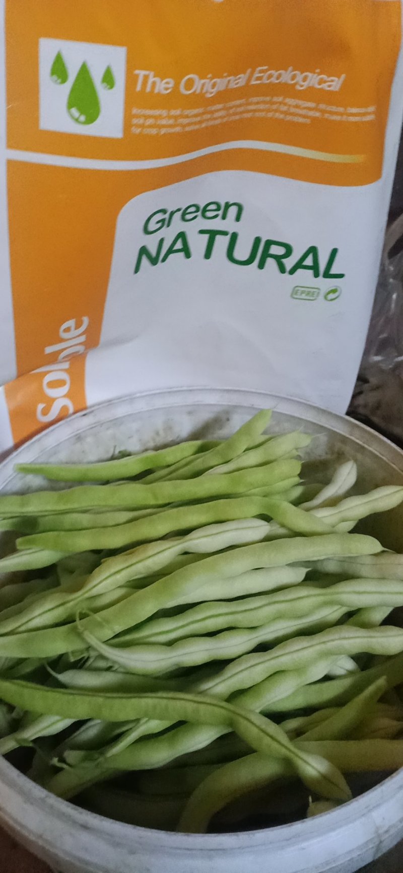 精品芸豆