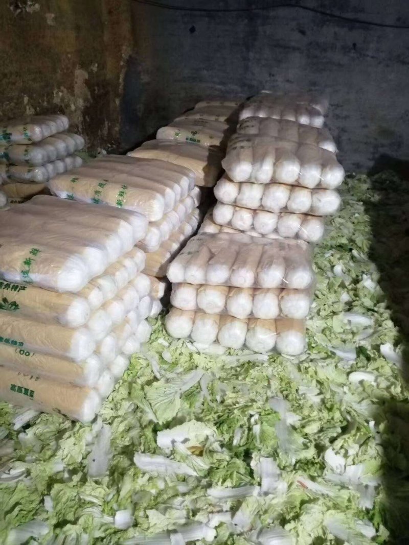 阳春白菜白菜河北白菜产地直销热卖价格实惠实力供应