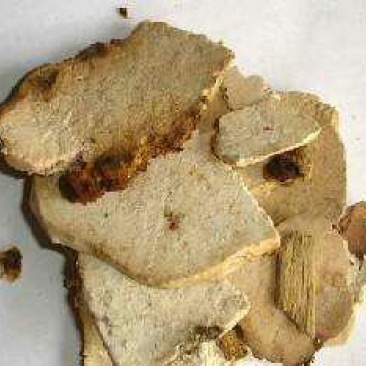 中药材生茯神精选正品伏神茯神