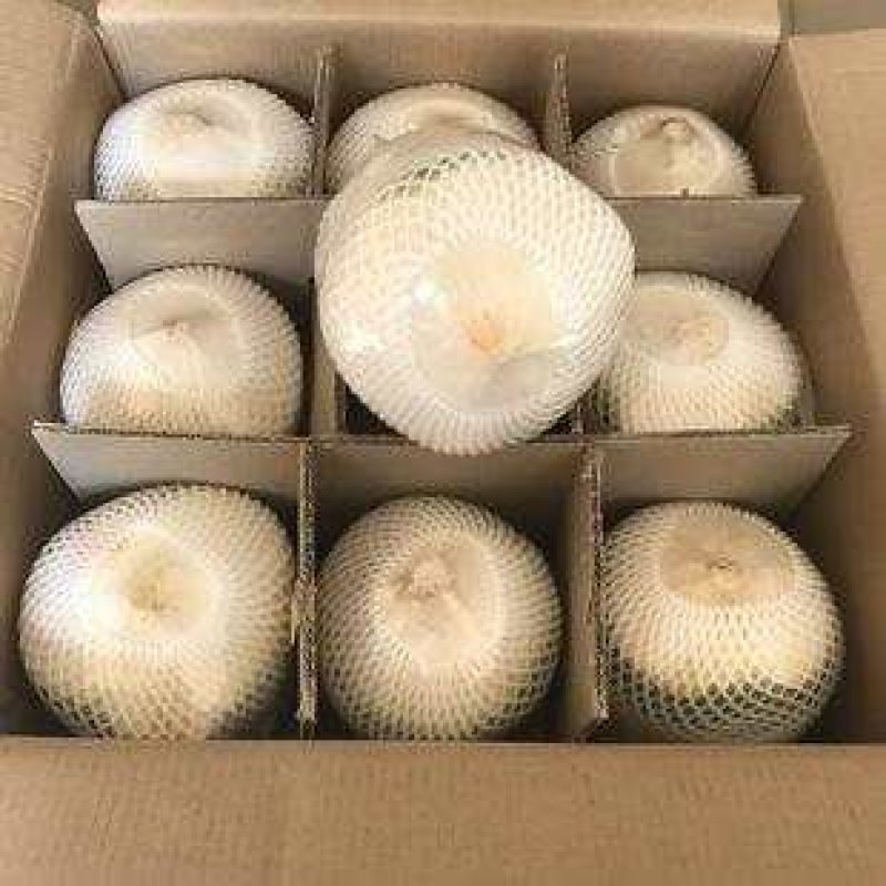 文昌椰林（椰青）原厂地直发，一件代发