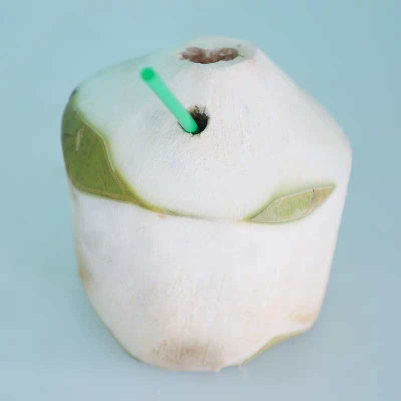 文昌椰林（椰青）原厂地直发，一件代发