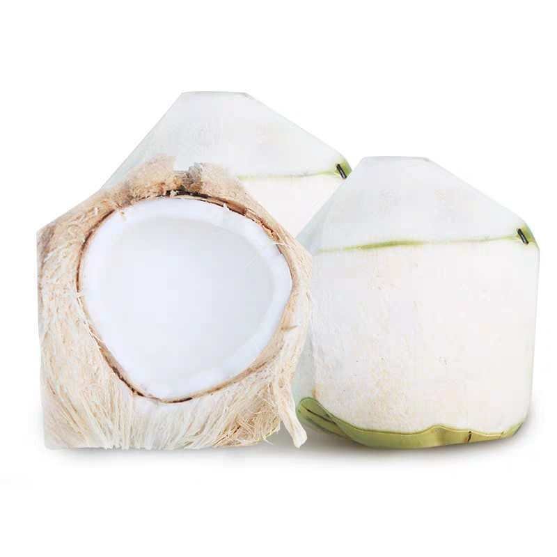 文昌椰林（椰青）原厂地直发，一件代发