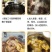 文昌椰林（椰青）原厂地直发，一件代发