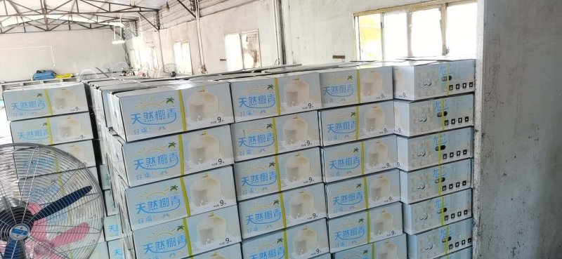 文昌椰林（椰青）原厂地直发，一件代发