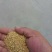 豆粕小料厂家直销现货！！！！！！！！！