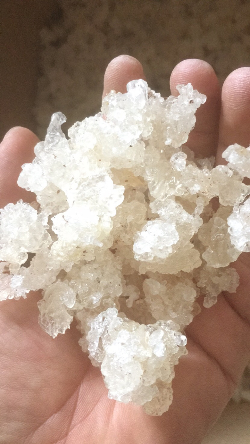 天然雪燕拉丝好，颜色干净产地直销大货供应，品质好。