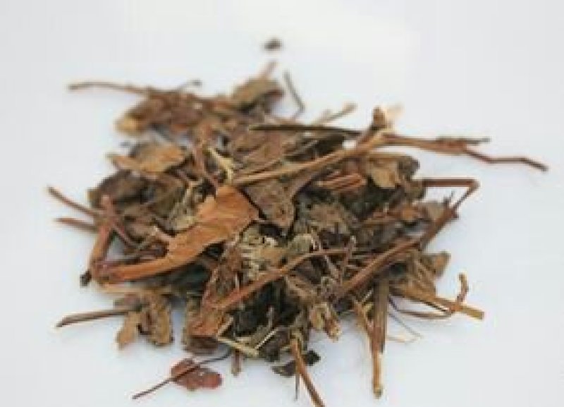中药材野生鱼腥草根天然鱼腥草