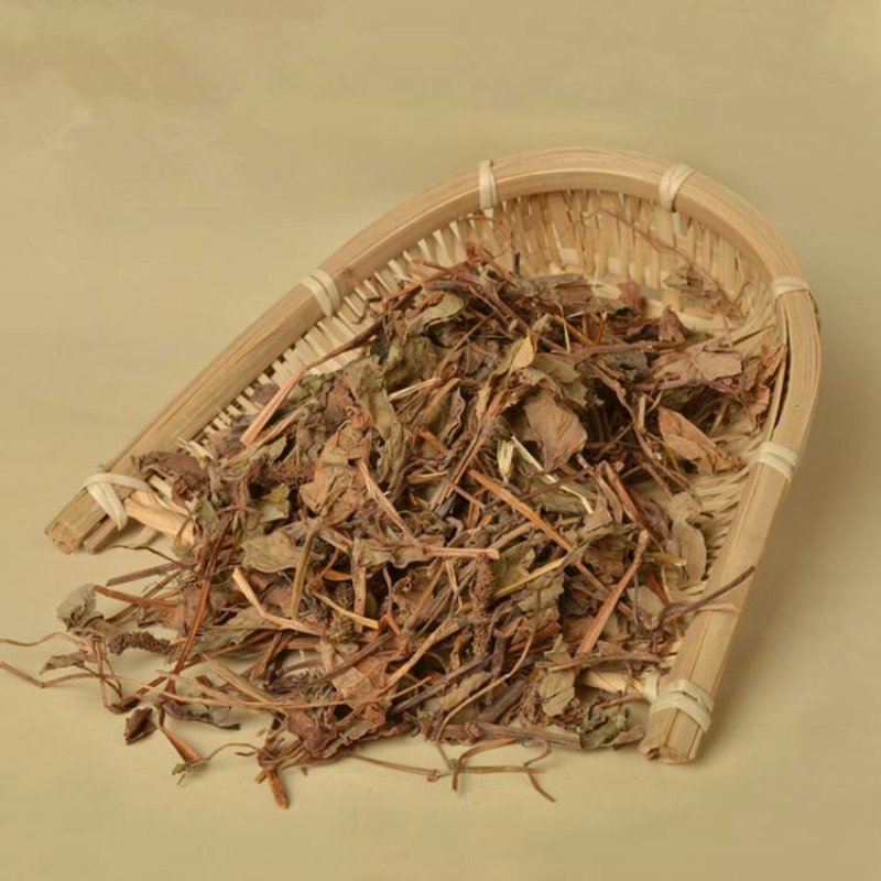 中药材野生鱼腥草根天然鱼腥草