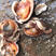 毛蛤蛤蜊赤贝血蛤鲜活贝壳保活发货质量保证